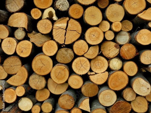 Woodpile Kindling Firewood Detail