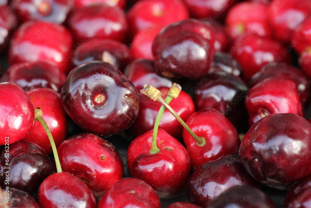 Cerises Cerises
