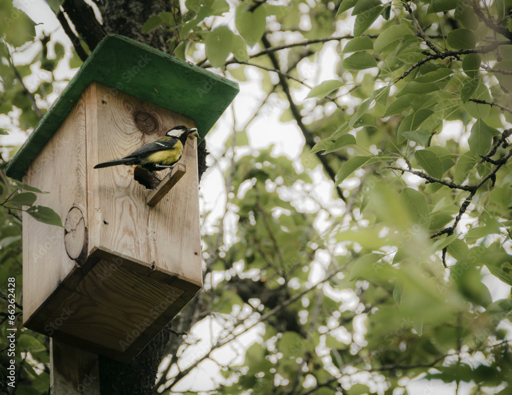 Naklejka premium Birdhouse with bird