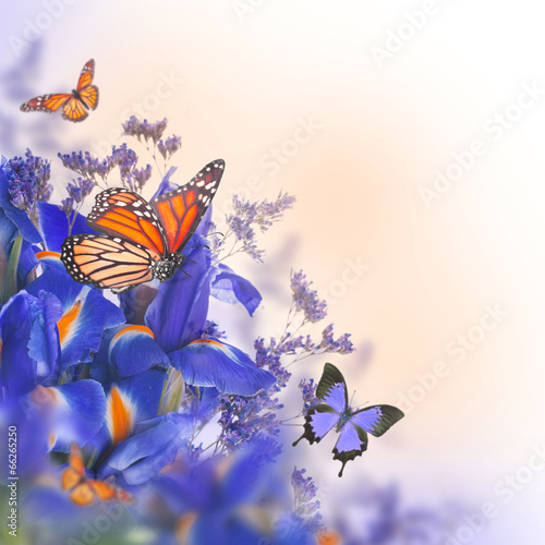 Fototapeta Naklejka Na Ścianę i Meble -  Blue irises with yellow daisies, floral background.