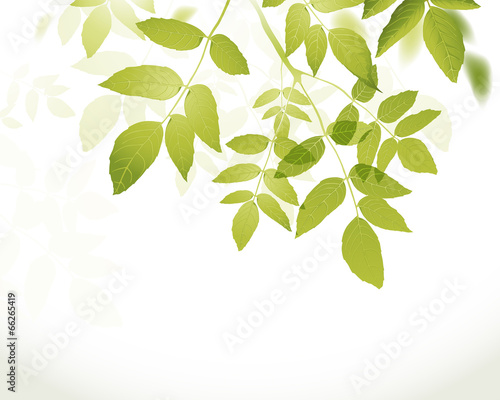 natural background