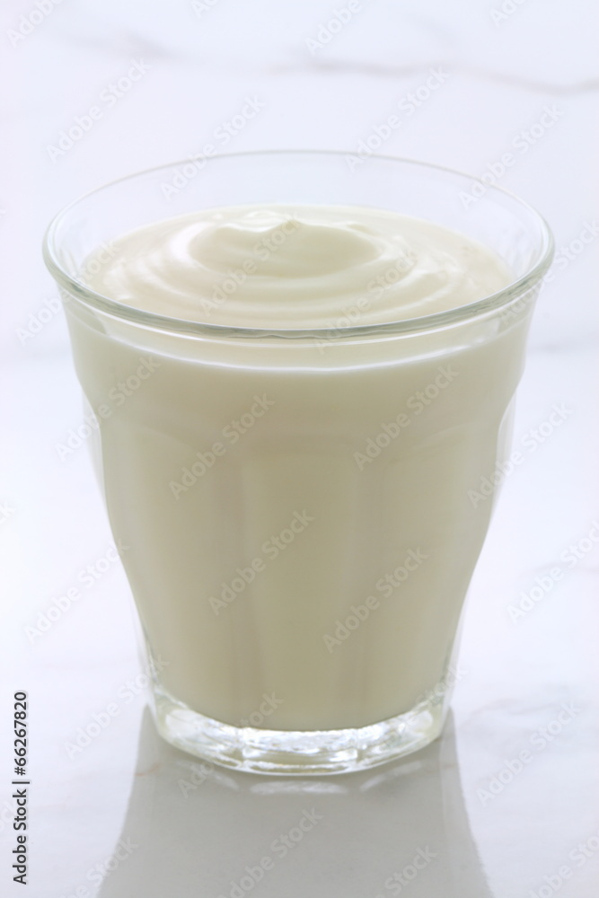 plain french style yogurt plain french style yogurt