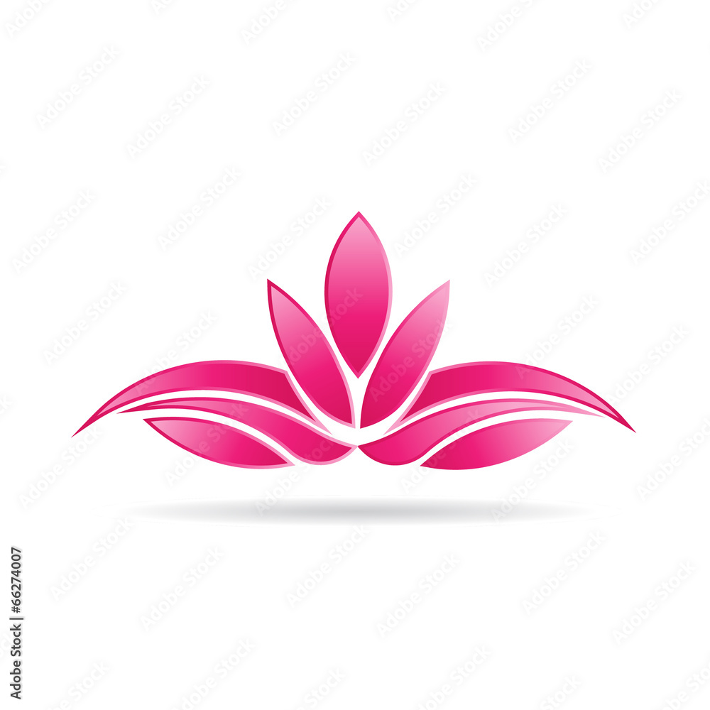 Luxury Lotus plant image.