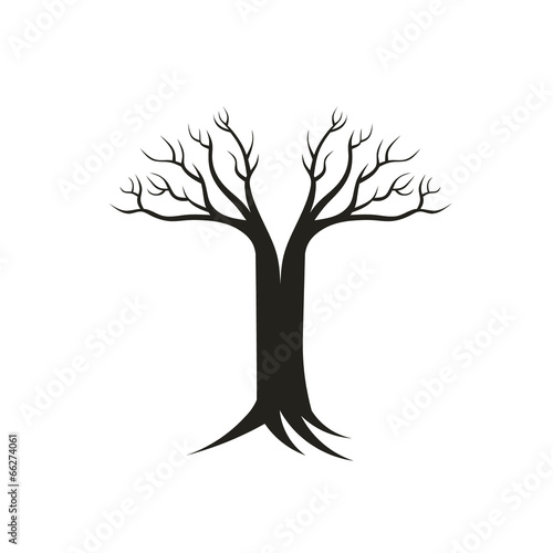 Tree of Life symbol. Concept of own life, regeneration