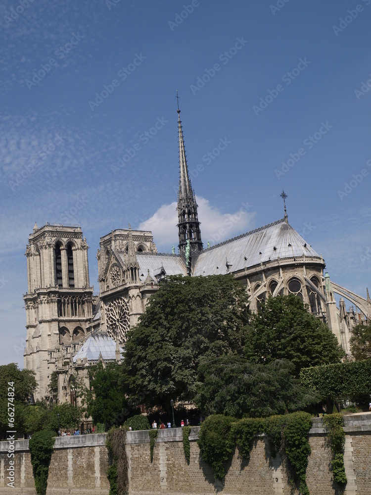 Catedral de Notre Dame en París