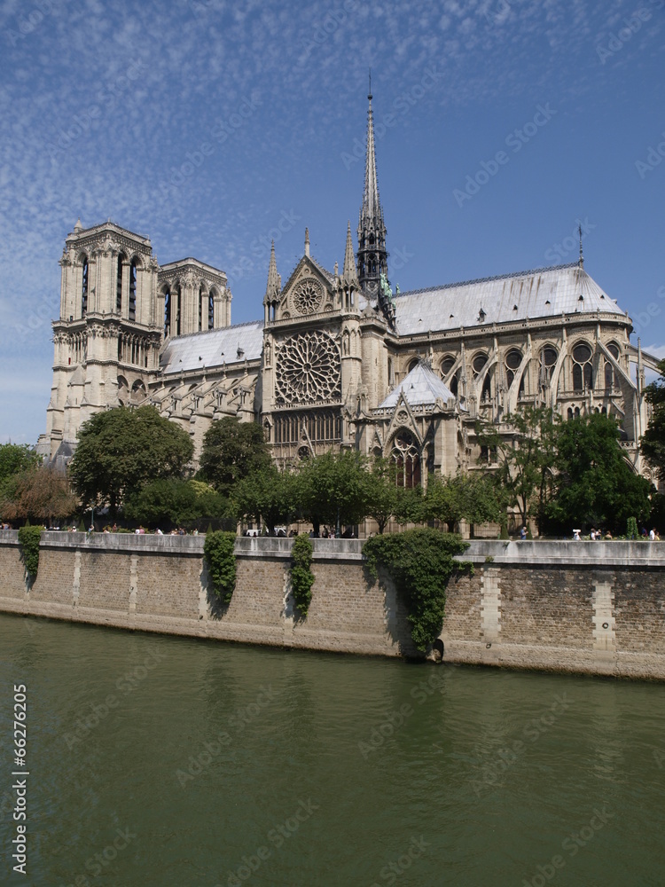 Naklejka premium Catedral de Notre Dame en París