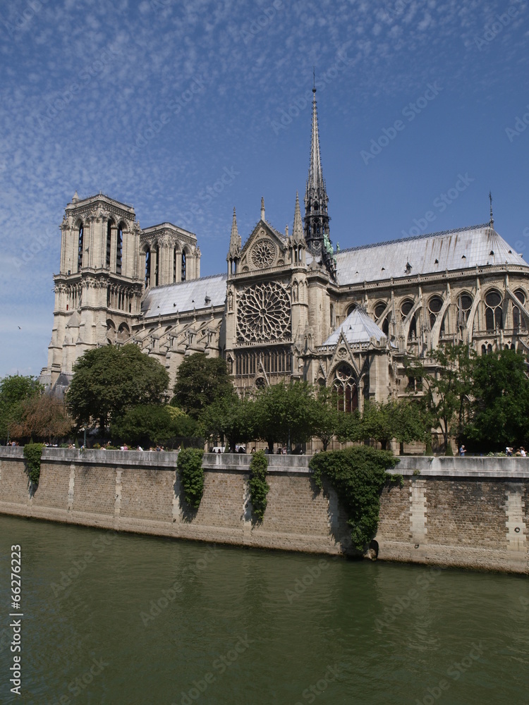 Naklejka premium Catedral de Notre Dame en París