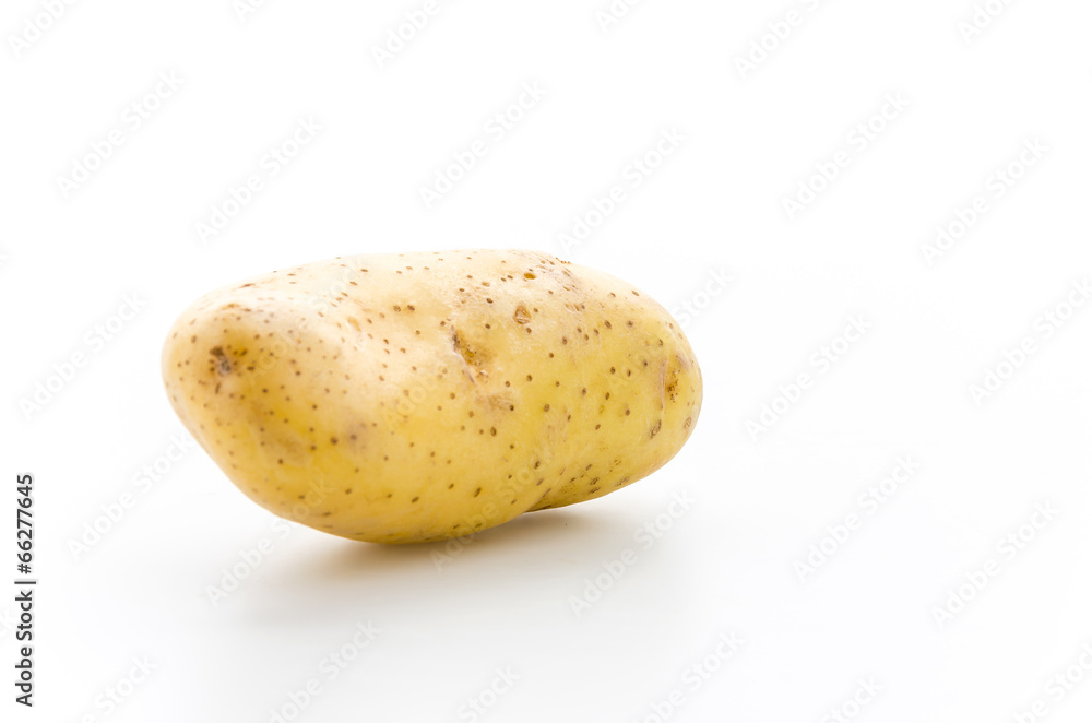 Potato isolated on white Potato isolated on white