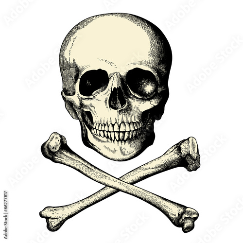 skull and crossbones