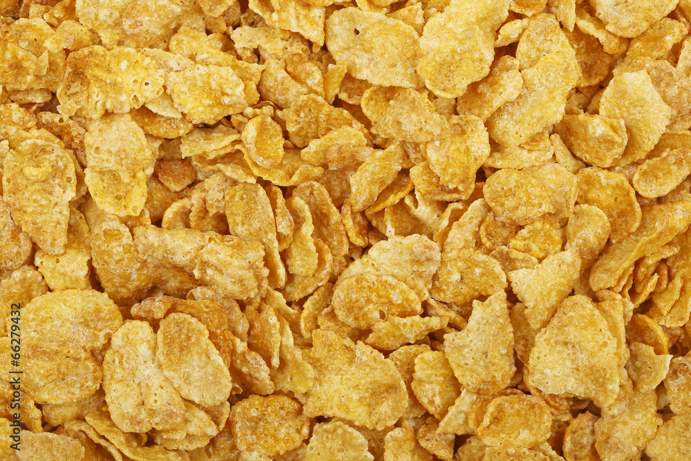 corn flakes corn flakes