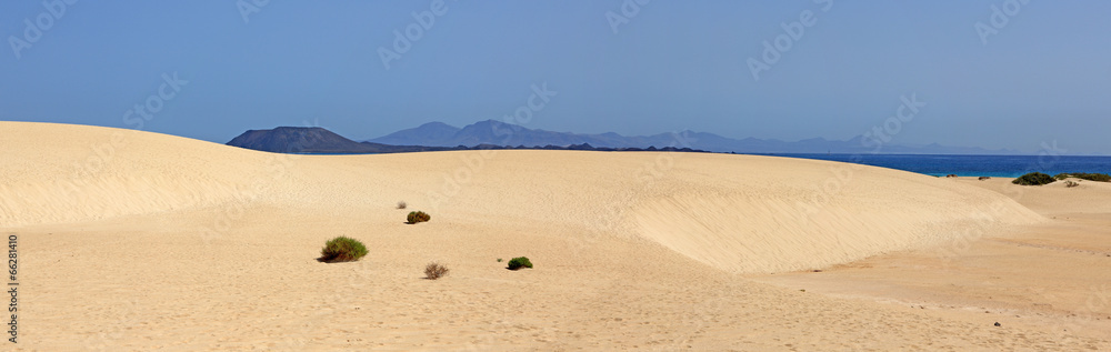 dunes de sable des îles canaries