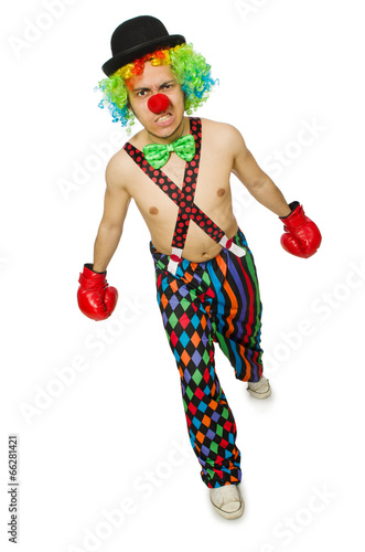 Clown with boxing gloves isolated on the white