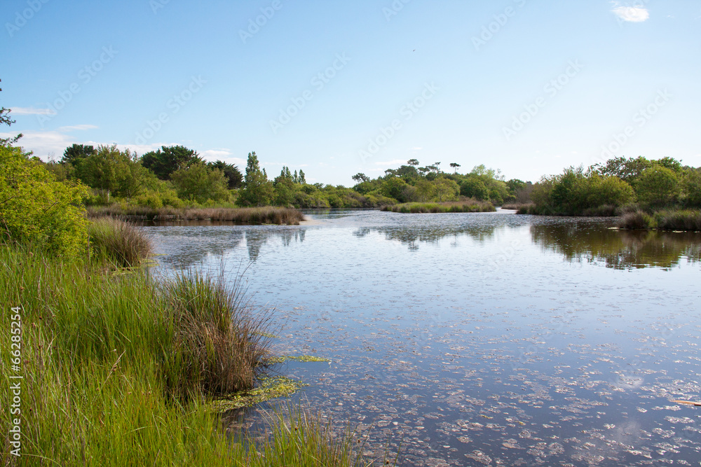 Les Marais de Mousterlin dans le Finistère en Bretagne Les Marais de Mousterlin dans le Finistère en Bretagne