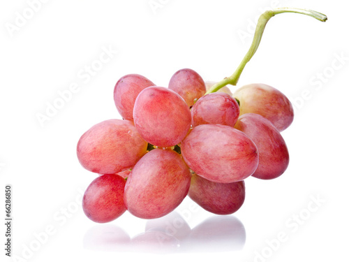 Juicy bunch of grapes