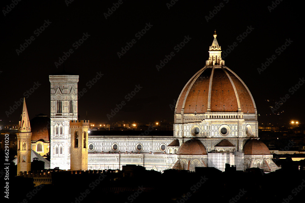 Fototapeta premium FlorenzDom
