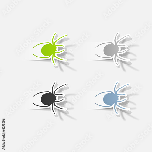 realistic design element: spider