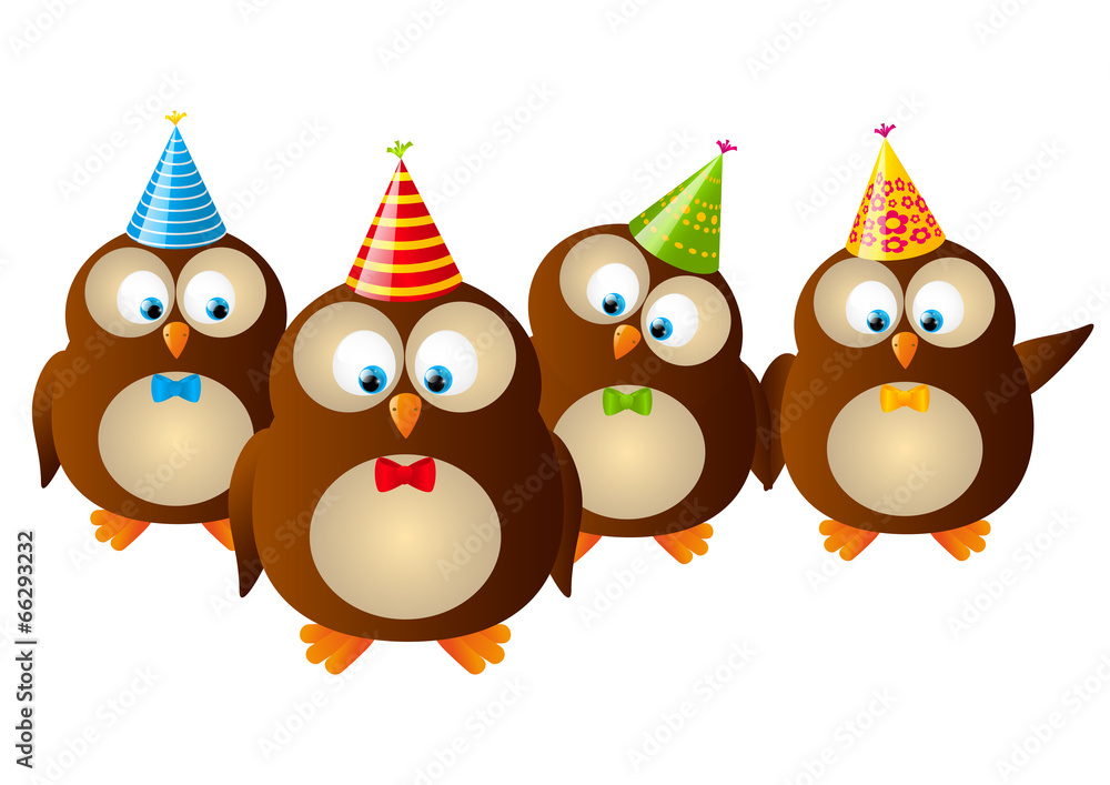 Funny owls isolated on white Funny owls isolated on white