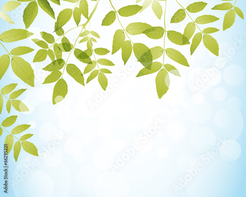 natural background
