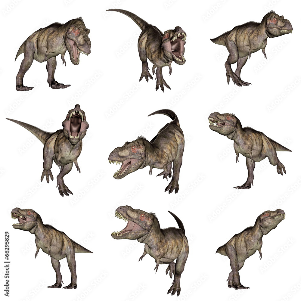 Obraz premium Tyrannosaurus rex dinosaurs - 3D render