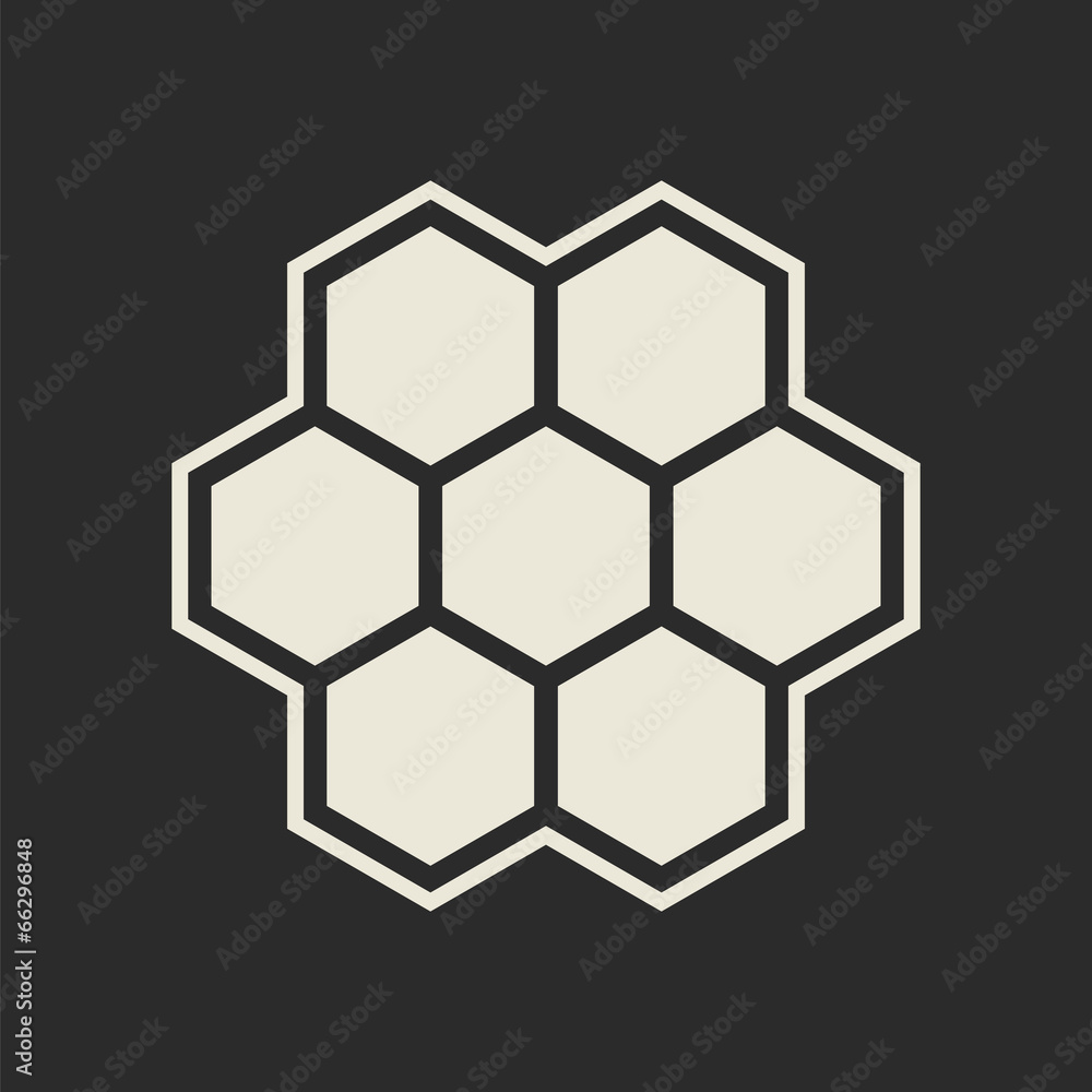 Hexagon icon Hexagon icon