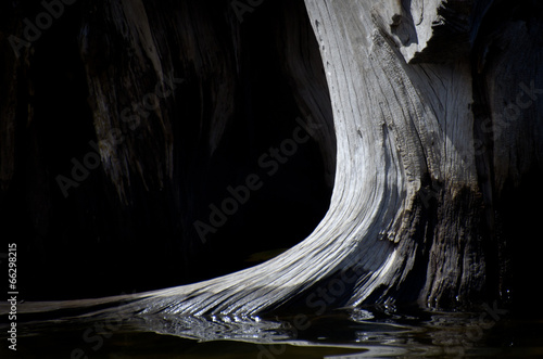 Nature Abstract - Weatherworn Driftwood Reflecting in the Water