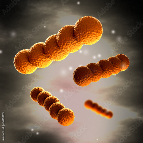 Streptococcus -  Spherical Gram-positive bacteria in detail photo