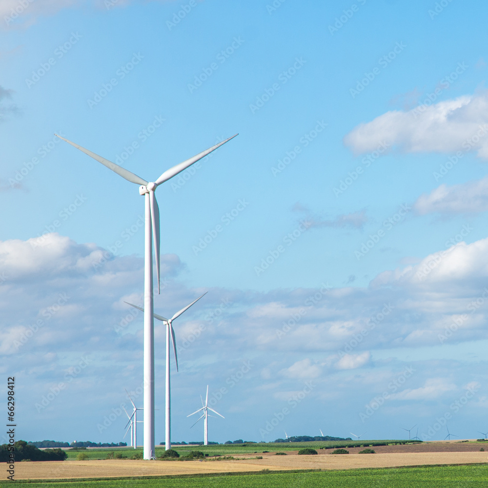 Wind generators turbines on summer landscape Wind generators turbines on summer landscape