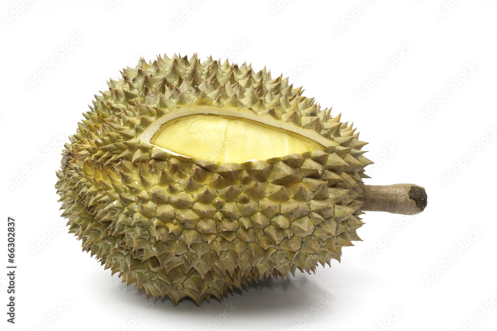 Obraz premium Durain isolated on the white background