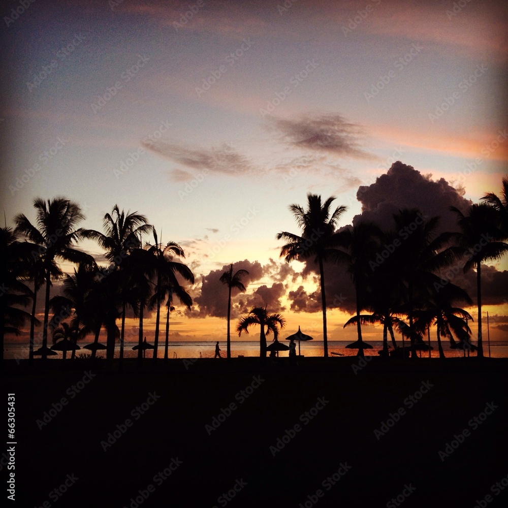 Silhouettes of palm trees on sunset on Mauritius