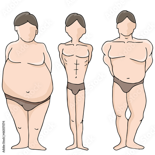 Male Body Shapes