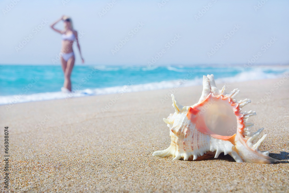 Svelte blond girl in white bikini on the sea sandy beach Svelte blond girl in white bikini on the sea sandy beach