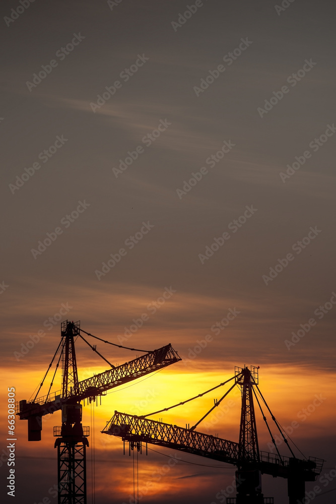 Cranes at dusk