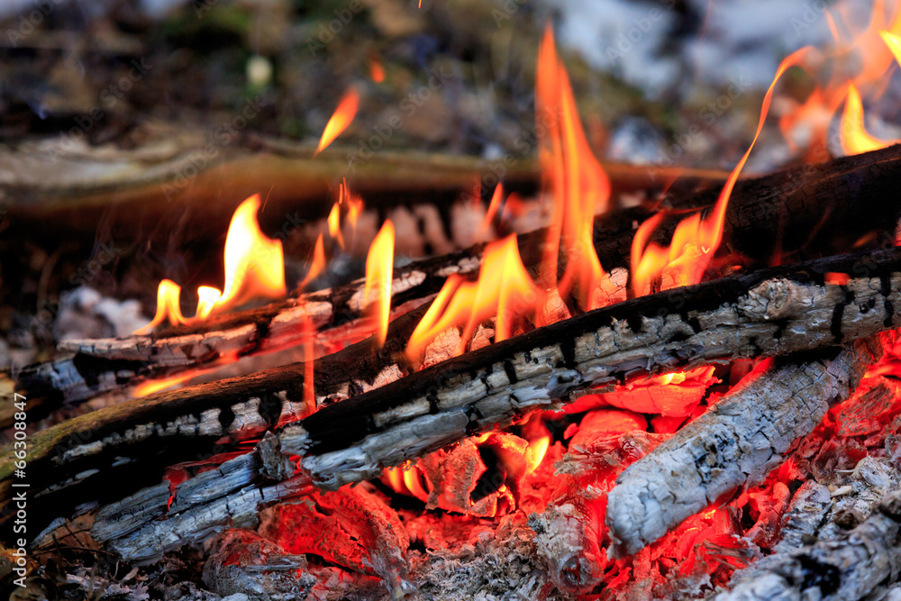 hot flame of campfire hot flame of campfire