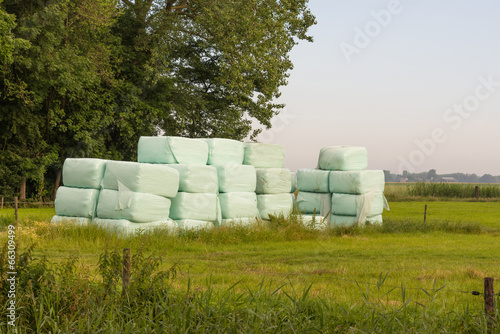 Piled bales harvested dry grass wrapped in plastic film