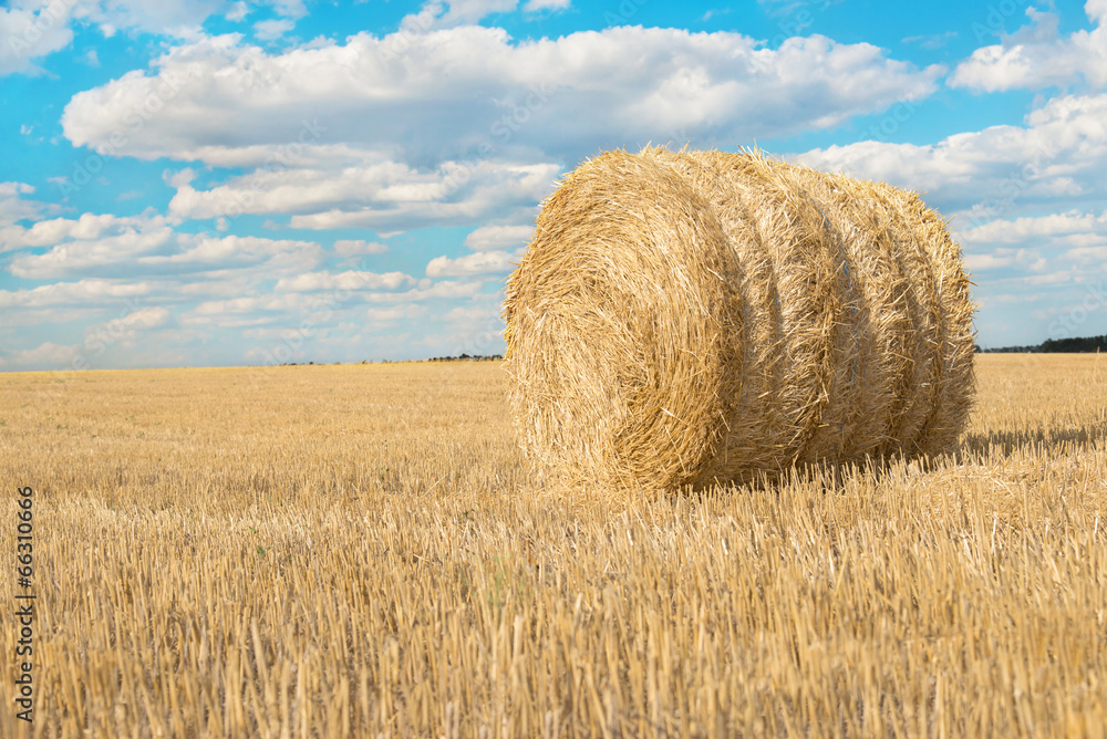 Harvested field with straw bales in summer