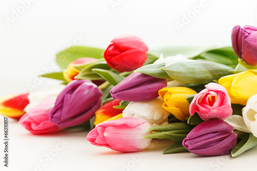 Fototapeta Naklejka Na Ścianę i Meble -  nice tulips