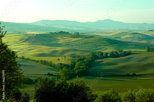 Fototapeta Naklejka Na Ścianę i Meble -  typical Tuscany landscape, Italy