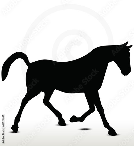 horse silhouette in Prancing position