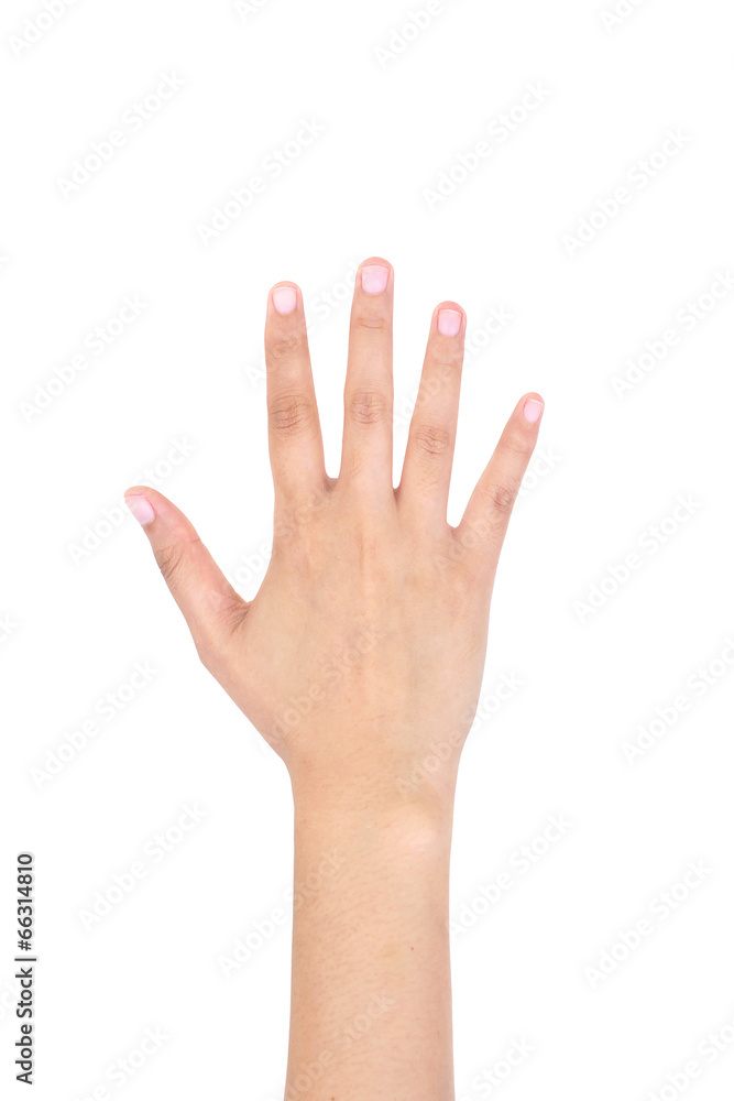 Woman right hand showing the five fingers isolated. Woman right hand showing the five fingers isolated.