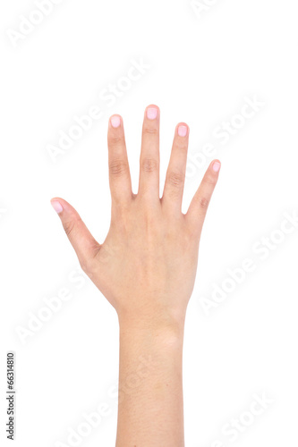 Woman right hand showing the five fingers isolated.