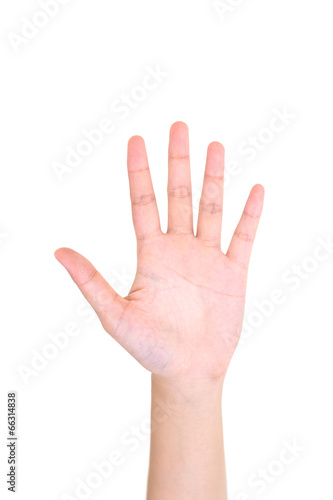 Woman left hand showing the five fingers isolated.