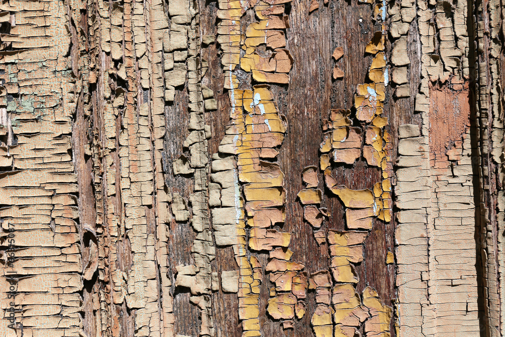 Obraz premium Old wooden texture
