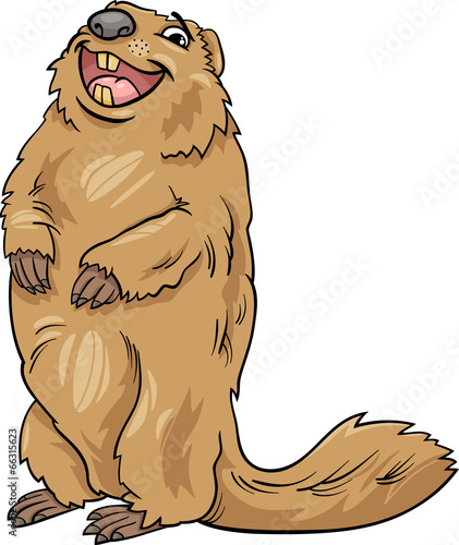 marmot animal cartoon illustration