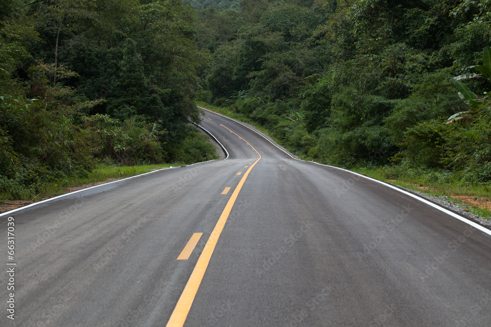 The road through the rainforest