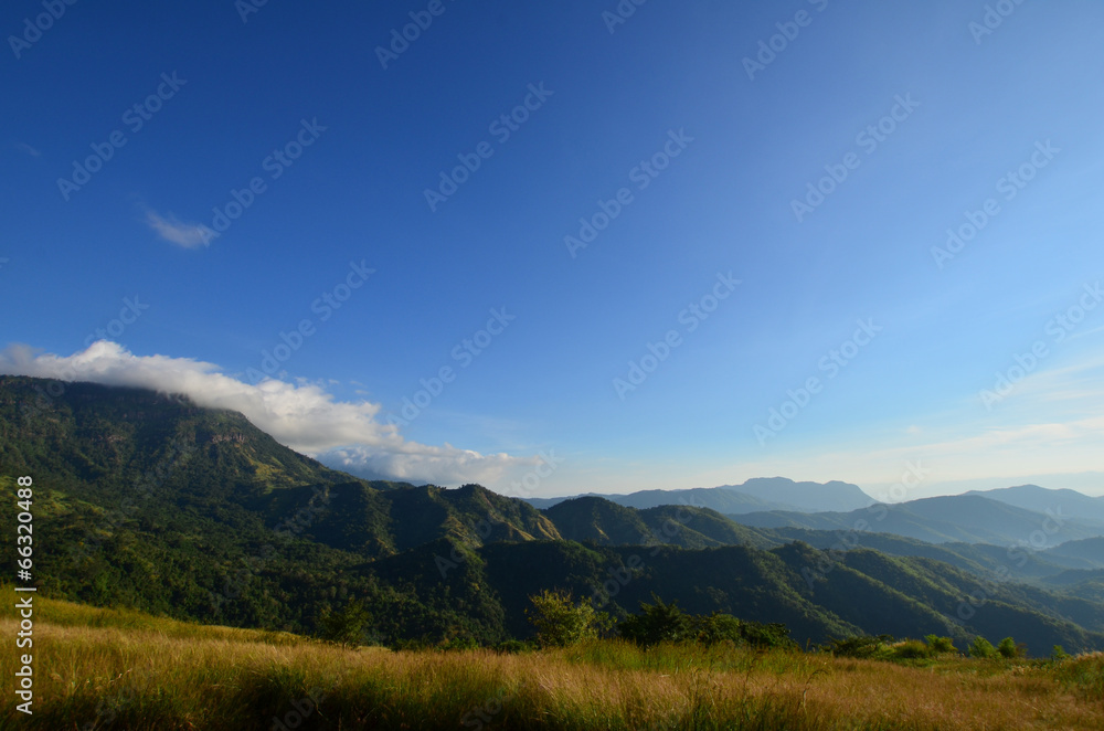 Grass Meadows on Mountain Grass Meadows on Mountain