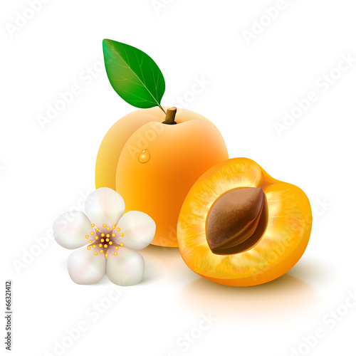 Apricot with slice on white background