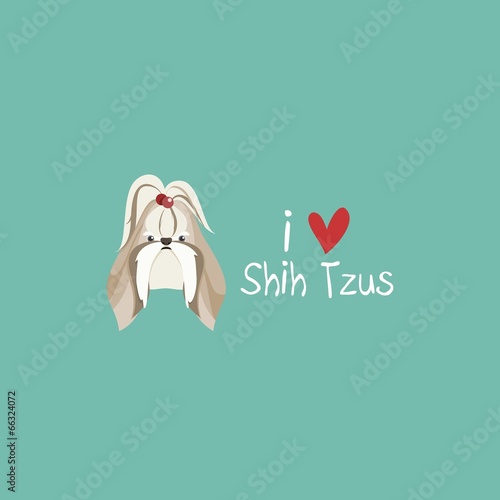 I Love Shih Tzus