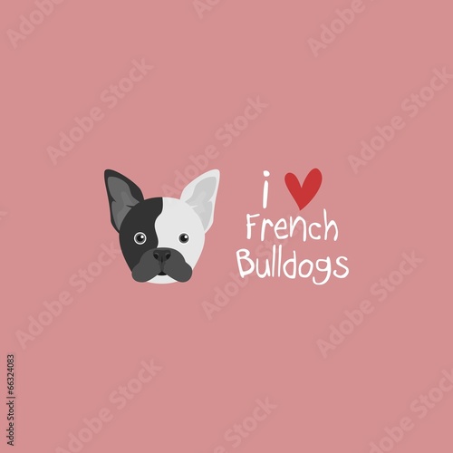 I Love French Bulldogs