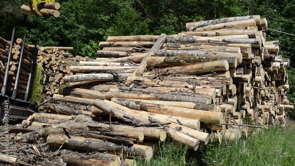 Special timber crane grab logs with metal claw and load trailer Special timber crane grab logs with metal claw and load trailer