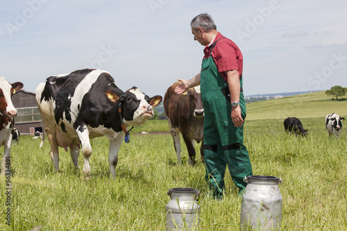 farmer with milk churns at his cows photo